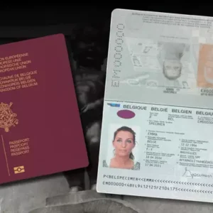 Alternative view of BELGIAN PASSPORT ONLINE