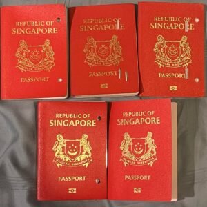 Getting Eu Passports