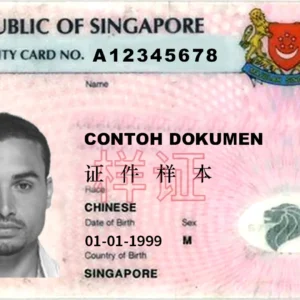SINGAPORE ID CARD