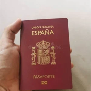 SPANISH PASSPORT ONLINE