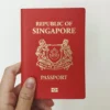 SINGAPORE PASSPORT ONLINE