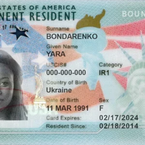 Authentic American Green Card