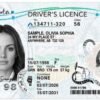 Buy Canadian ID Card Online