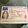 Obtain Irish Driving License Online.