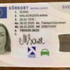 Buy Swedish Driver’s License Online