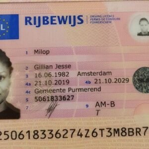 Acquire Dutch driving license Online.