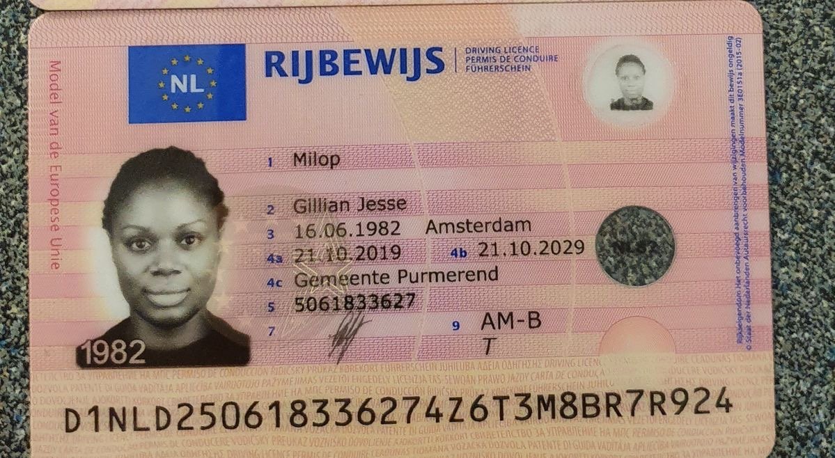 Acquire Dutch driving license Online.